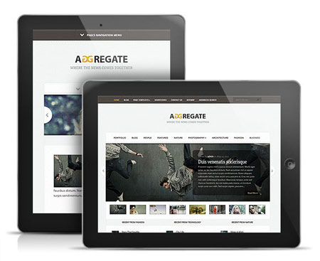 aggregate-elegant-theme